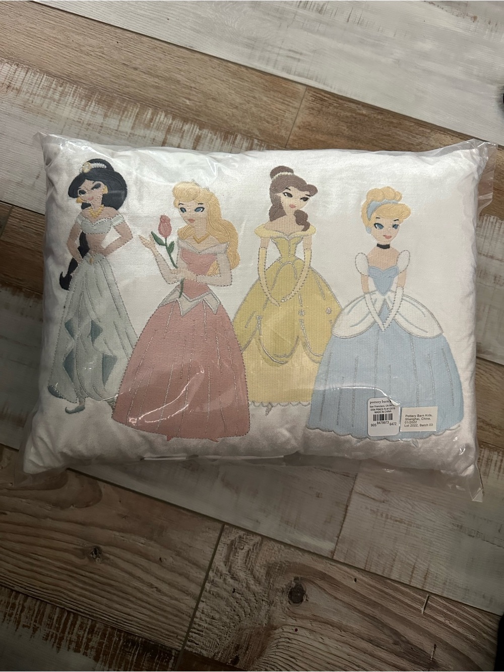 Pottery Barn White Pillow with Pastel Princess Embroidery